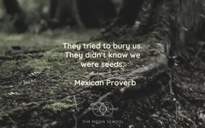 They tried to bury us. They didn’t know we were seeds.