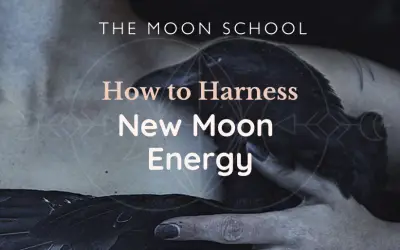 11 Curious + Surprising Ways to Harness New Moon Energy