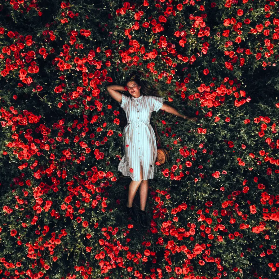Moon woman in a sea of red flowers