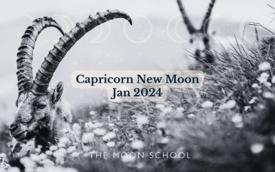 Capricorn New Moon January 2024: Here’s What it Means for You!