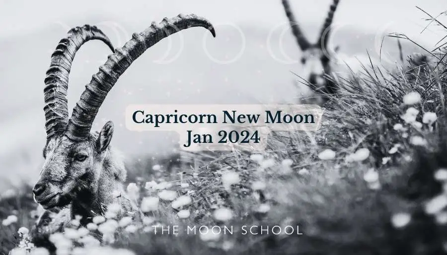 Capricorn goats on a mountain top with text: Capricorn New Moon Jan 2024