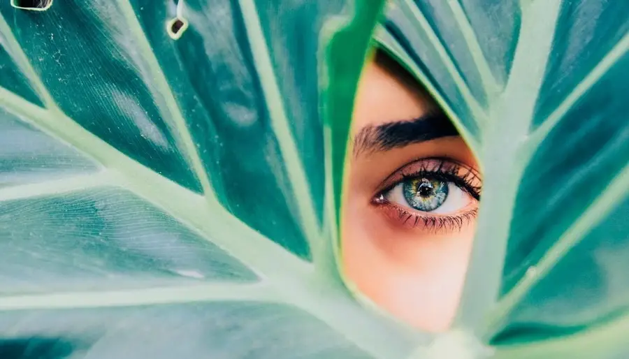 Eye looking through leaf