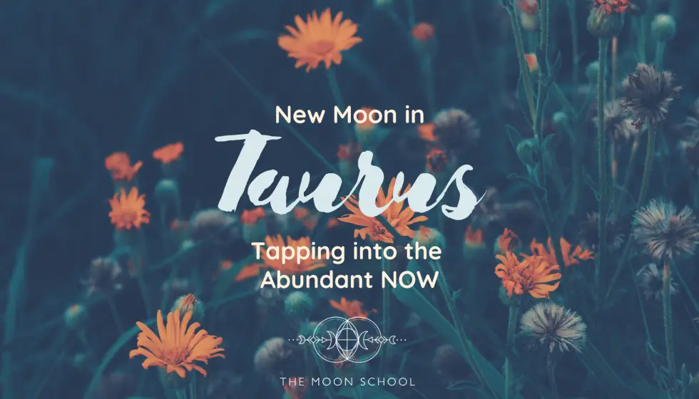Taurus New Moon 5 Tiny Rituals to Tap Into Abundance (May 7th, 2024