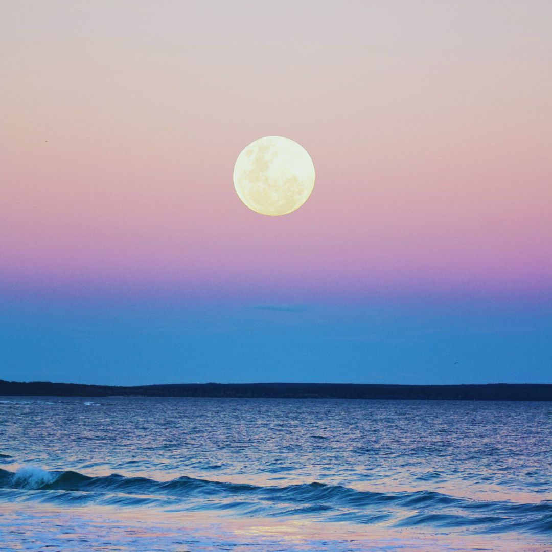 Full Moon rise over Ocean with pink sky