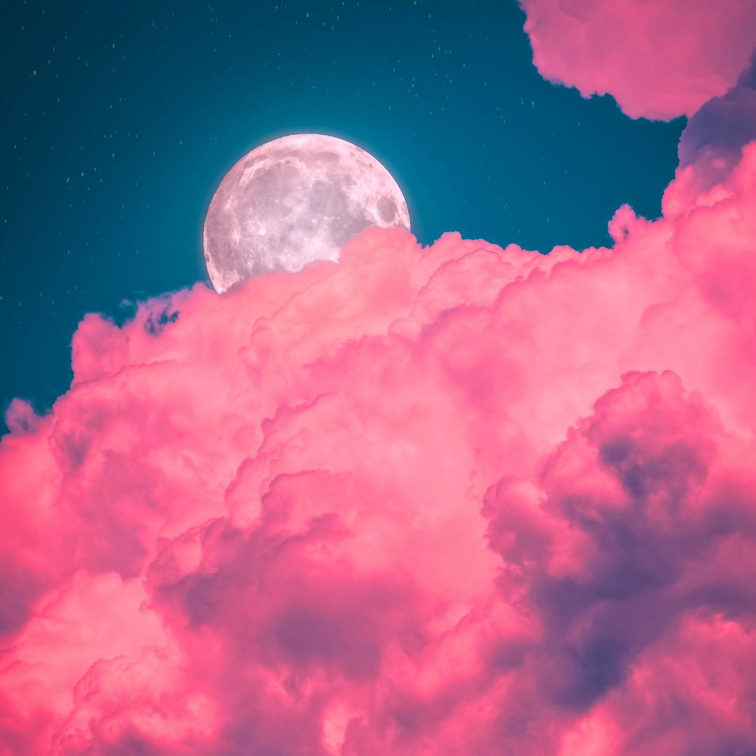 Full Moon in Taurus Zodiac sign behind pink clouds