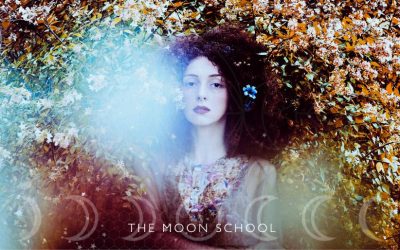 How the Moon Phases Affect Your Magic: A Witches Guide