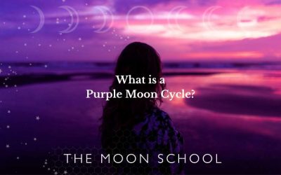 Period on the Waning Moon? Here’s the Meaning of your Purple Moon Cycle…