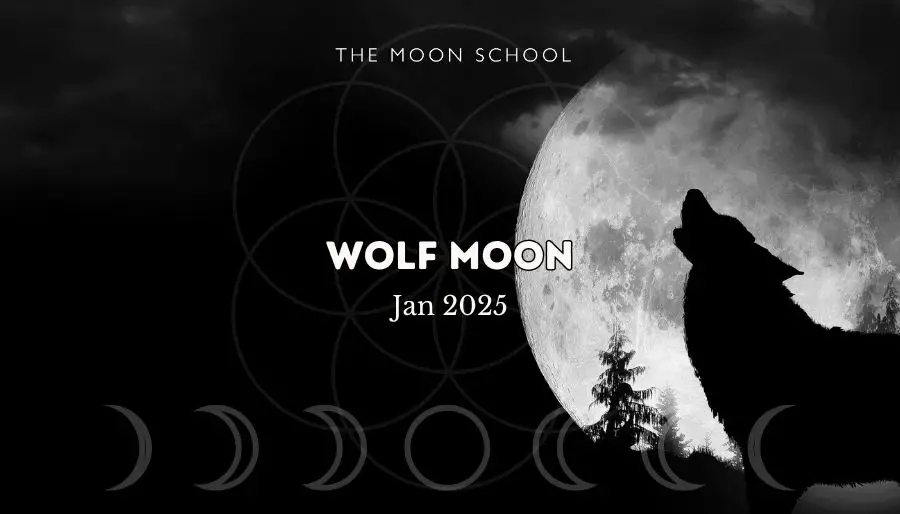 Image of howling wolf under full Moon in January