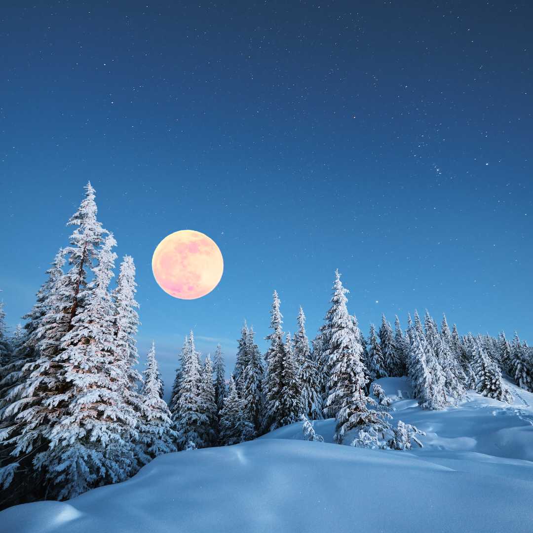 More snow on tree limbs with snow Moon rising