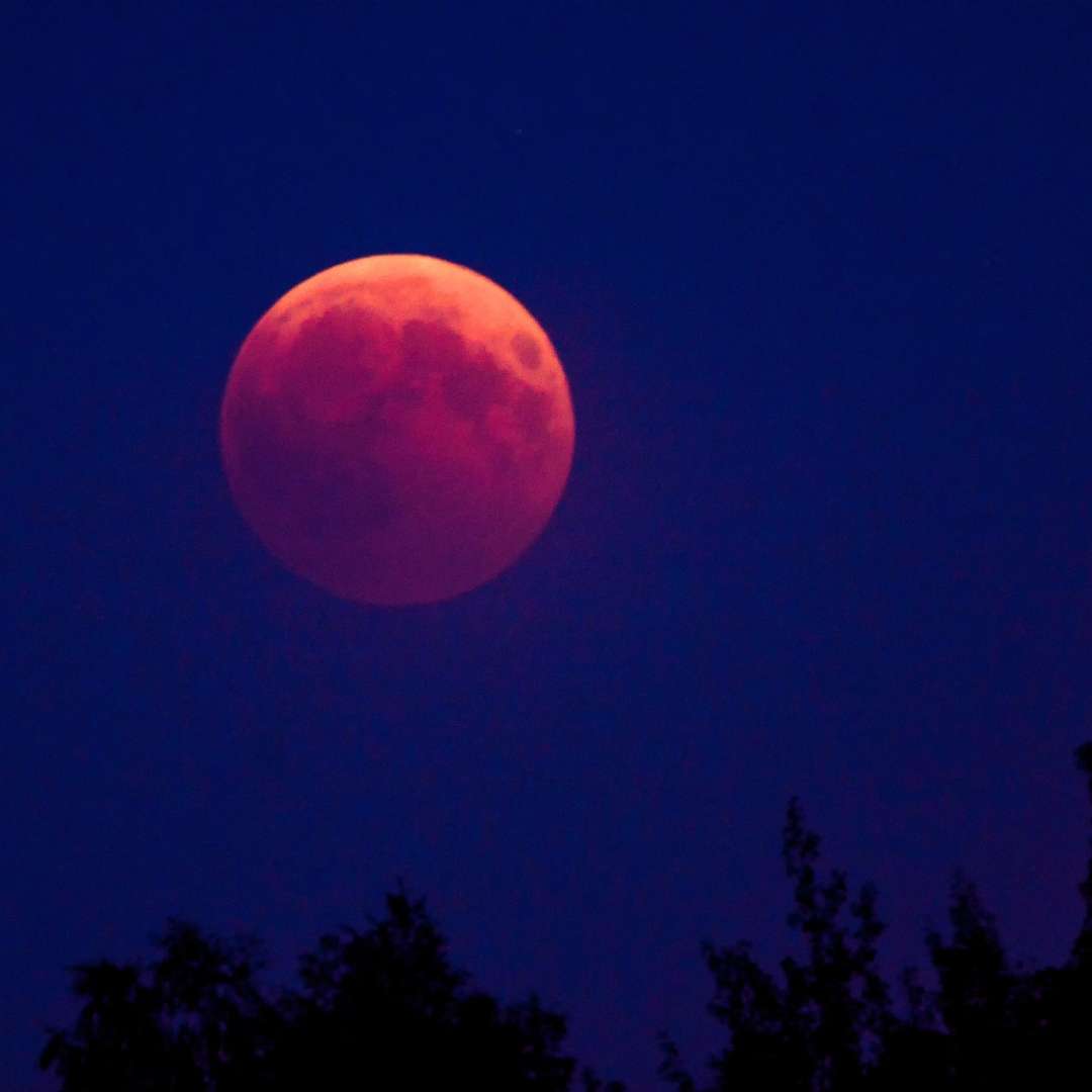 full Moon moves into red blood eclipse