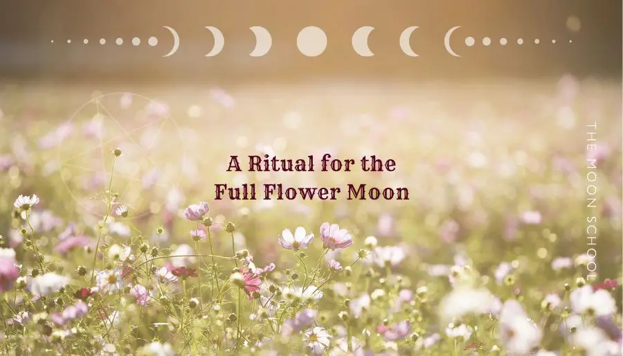 A Full Flower Moon Ritual to Blossom into your Purpose (May 2025)