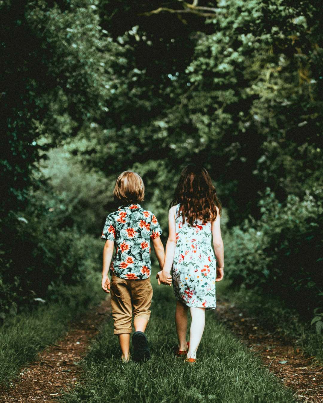 Summer solstice nature walk