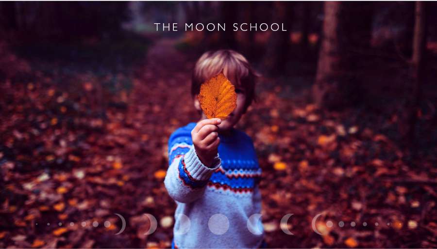 Thoughtful child in an autumn forest holding up a leaf for fall crafting