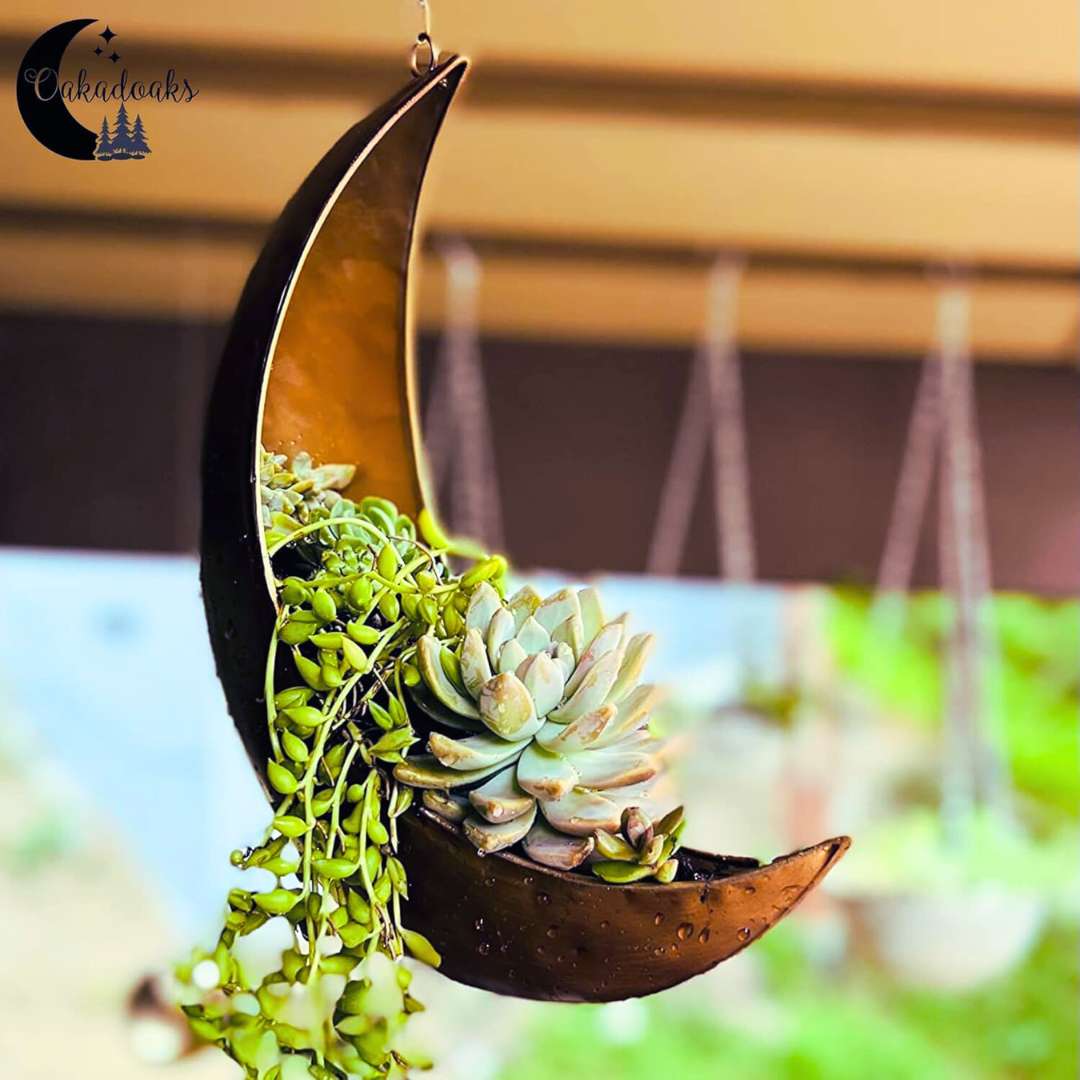 crescent moon hanging planter with succulents makes a great gift for a witch, wiccan or boho decor lover