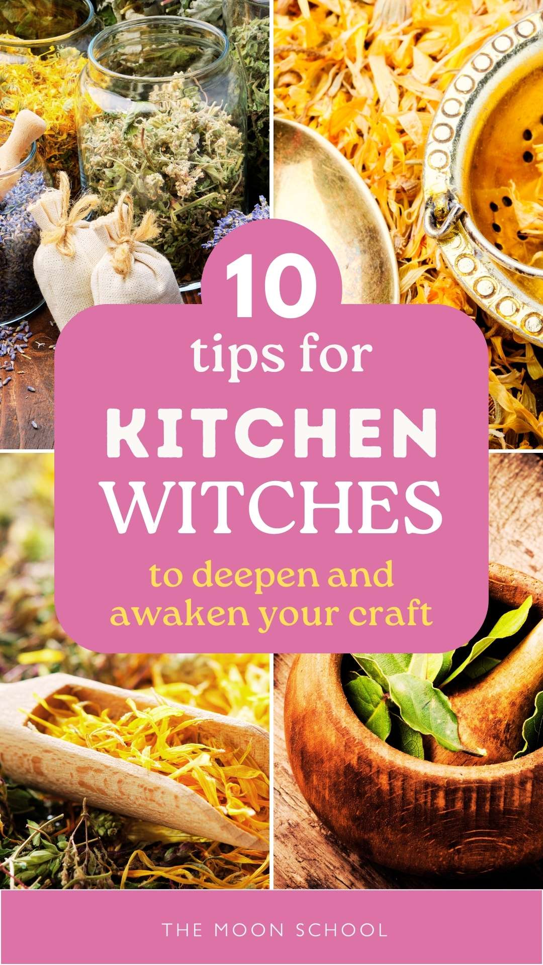 Tips for kitchen witches with 4 images of sacred herbs drying