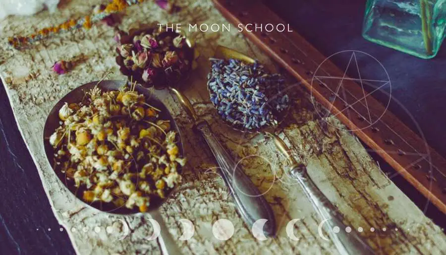 Old fashioned silver spoons with dried herbs witchy tips for the house and home