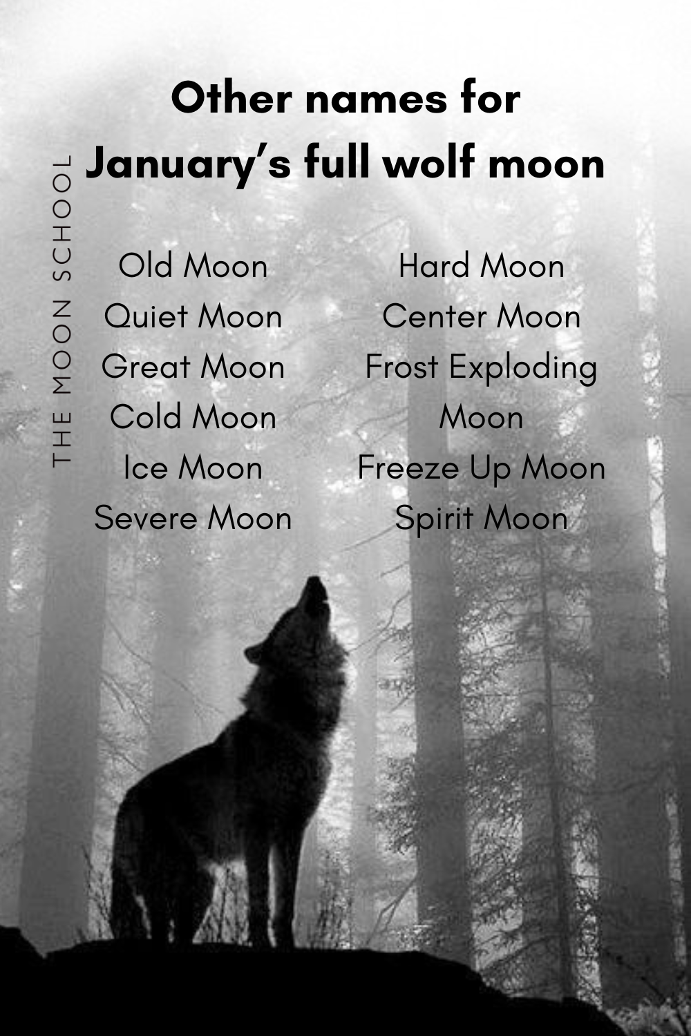 Howling wolf in a forest with all the names for January's full Moon: Old Moon<br />
Quiet Moon<br />
Great Moon<br />
Cold Moon<br />
Ice Moon<br />
Severe Moon<br />
Hard Moon<br />
Center Moon<br />
Frost Exploding<br />
Moon<br />
Freeze Up Moon<br />
Spirit Moon<br />
