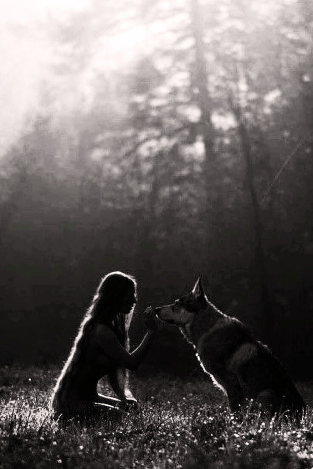Image of a wild women sitting facing a wolf in a dusky clearing