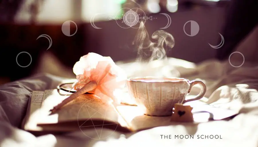 Cup of calming herbal tea on an open book with sunlight streaming in
