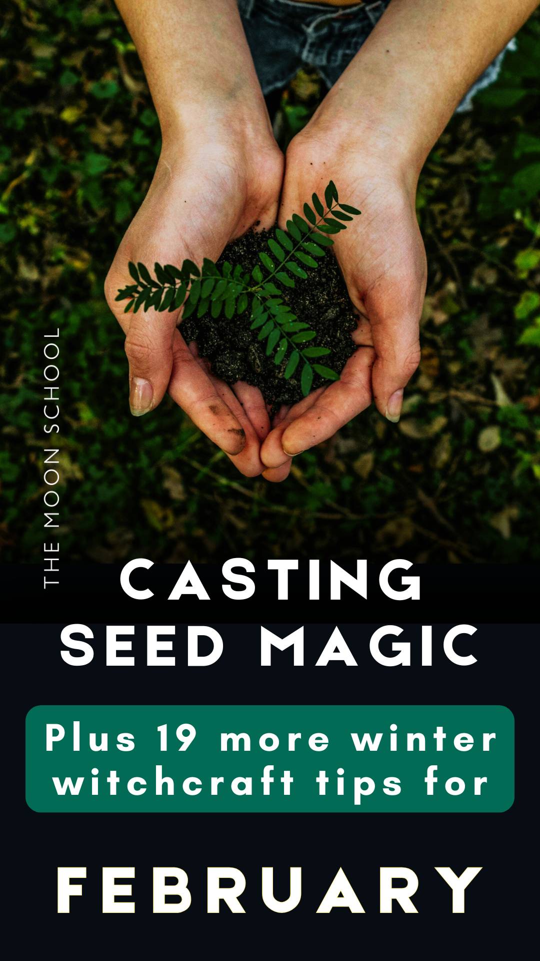 Witch hands holding fern seedling and text: Casting Seed Magick Plus 19 more witchcraft tips for February 