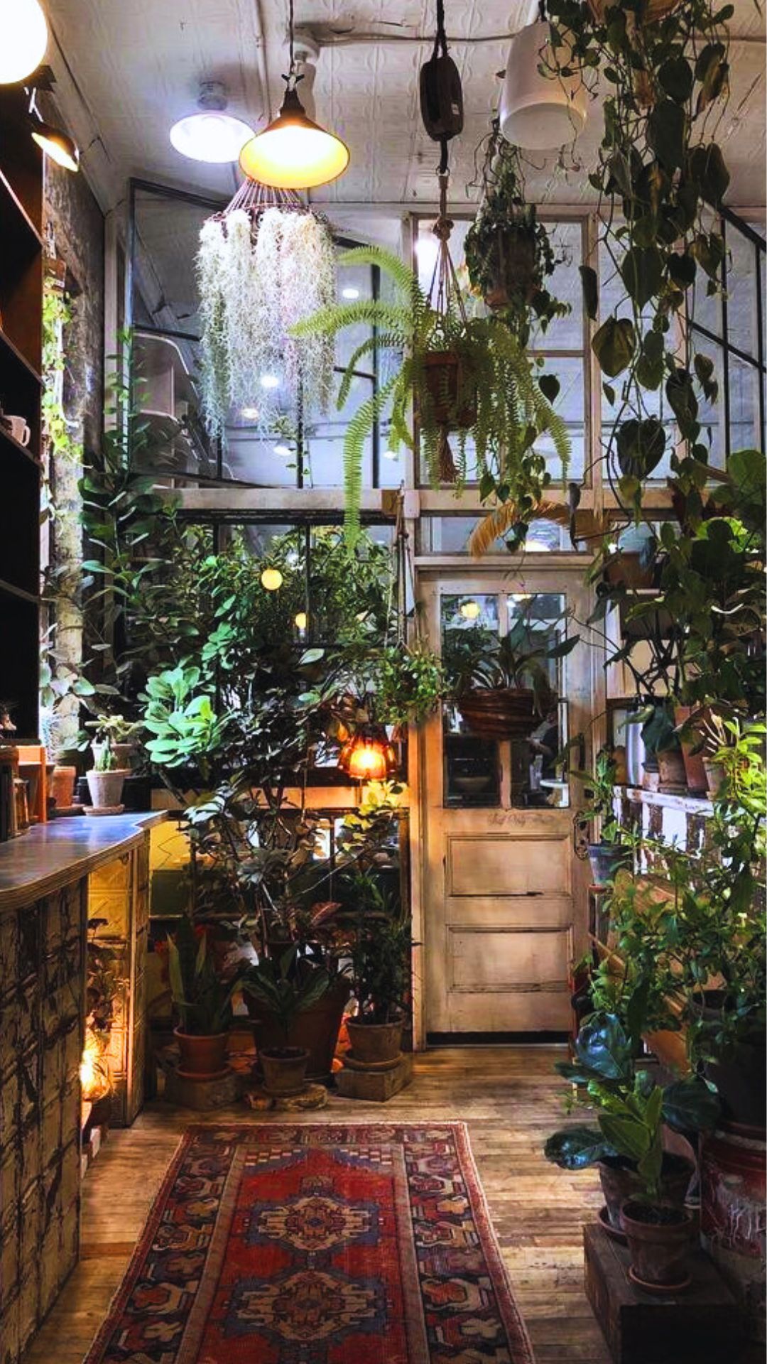 Witchy kitchen decor inspiration photo, with lots of hanging plants