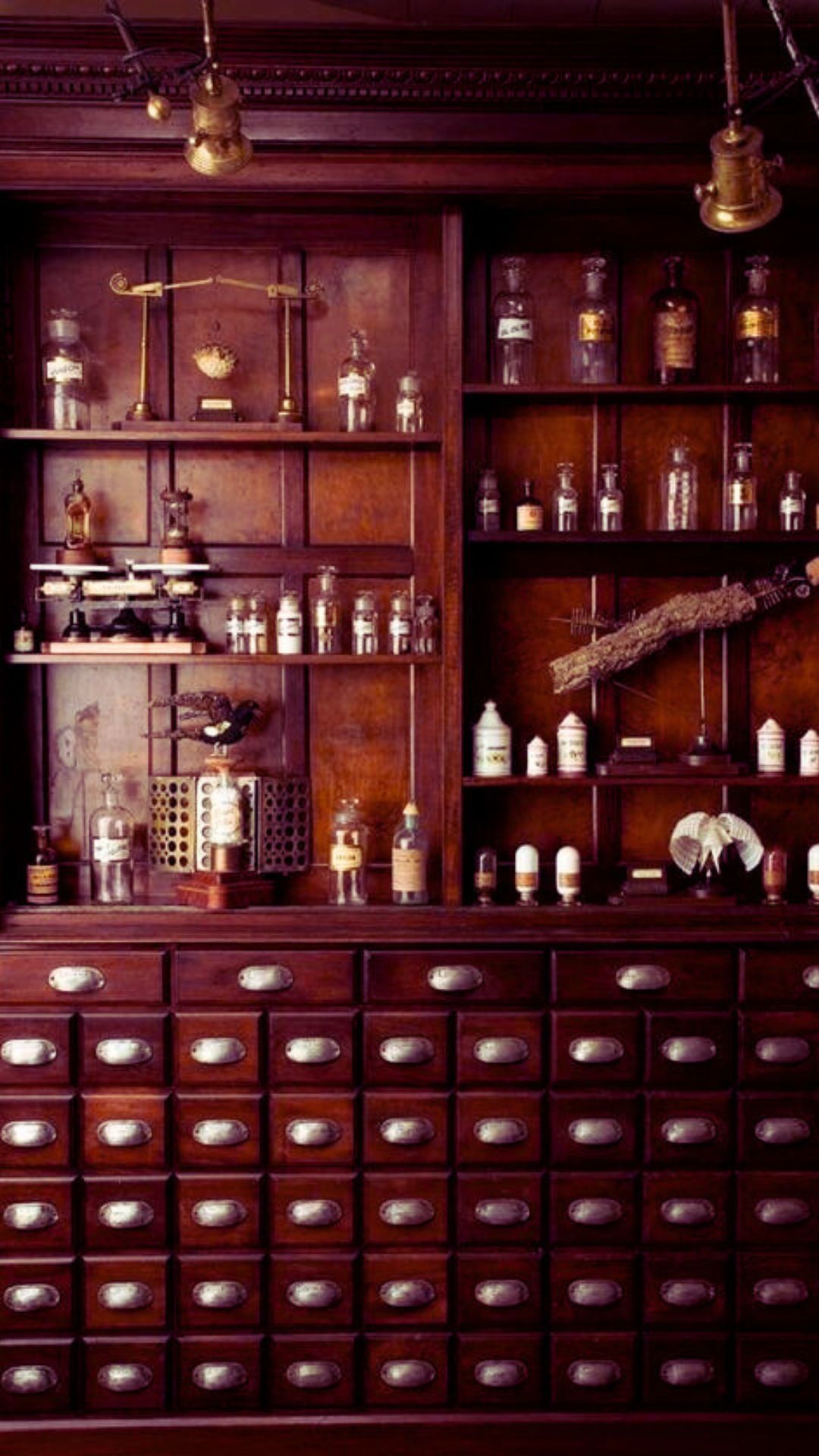 Stunning witchy victorian kitchen aesthetic of wooden apothecary cabinets