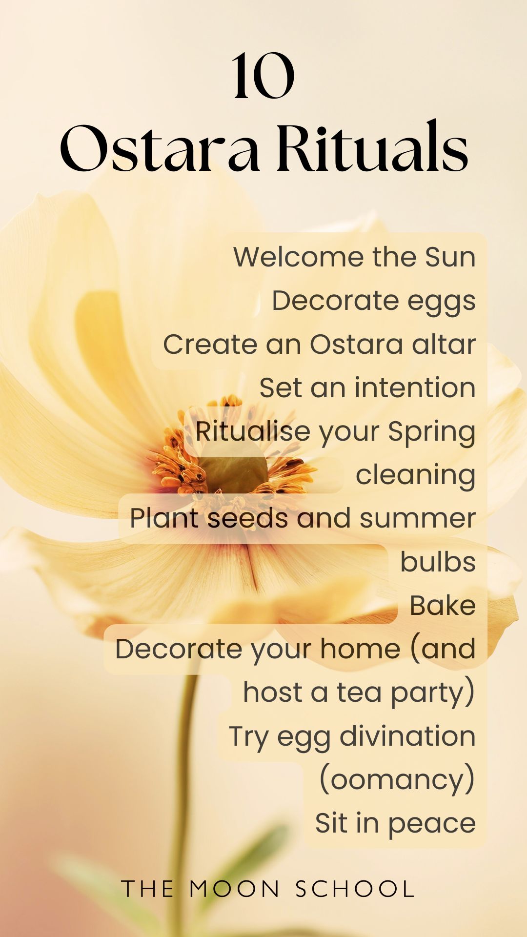 List of 10 ostara rituals for solitary witches, wiccans and pagans: Welcome the Sun<br />
Decorate eggs<br />
Create an Ostara altar<br />
Set an intention<br />
Ritualise your Spring cleaning<br />
Plant seeds and summer bulbs<br />
Bake<br />
Decorate your home (and host a tea party)<br />
Try egg divination (oomancy)<br />
Sit in peace<br />

