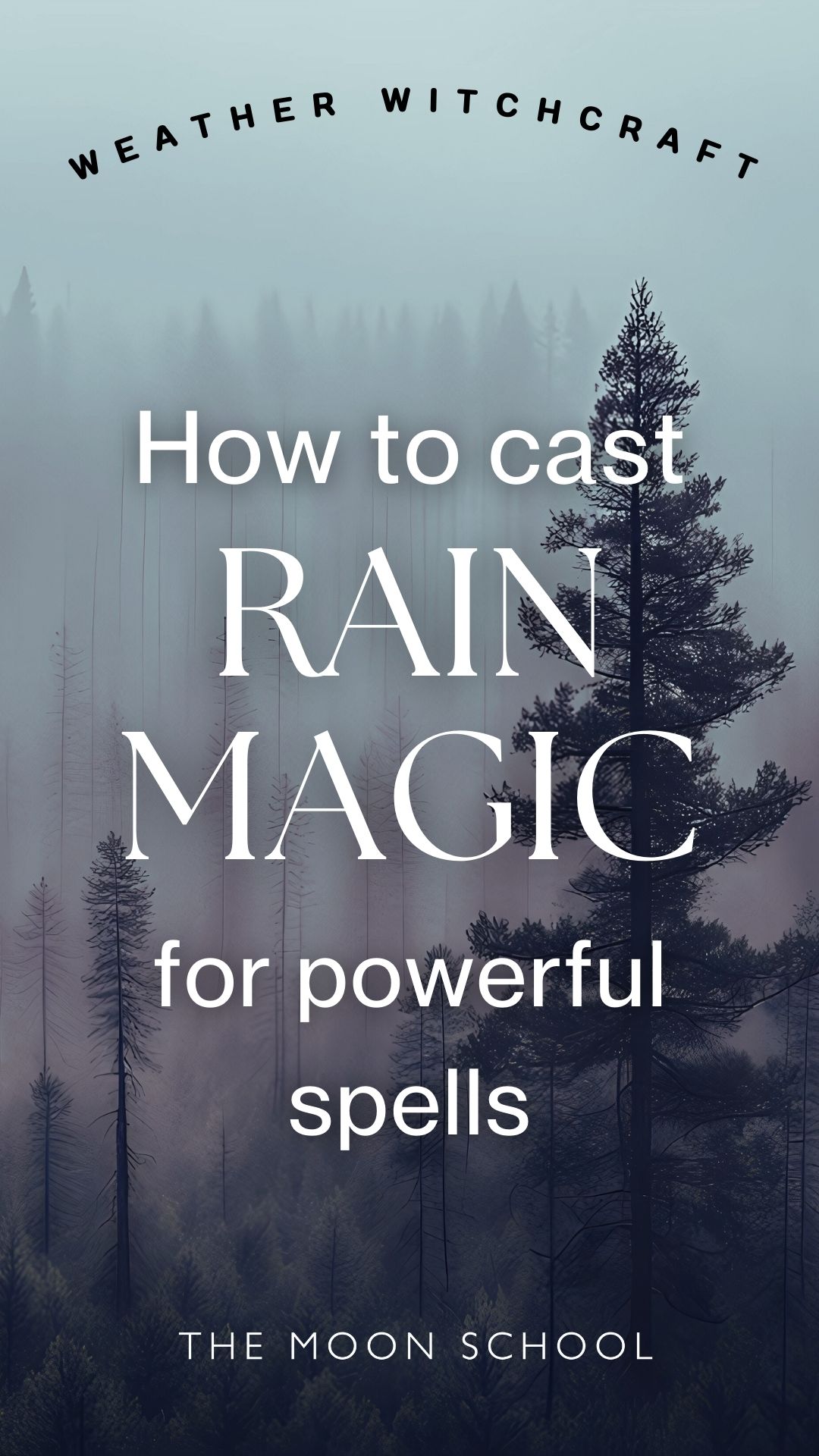 Rain magick weather witch aesthetic image of a rainy pine forest