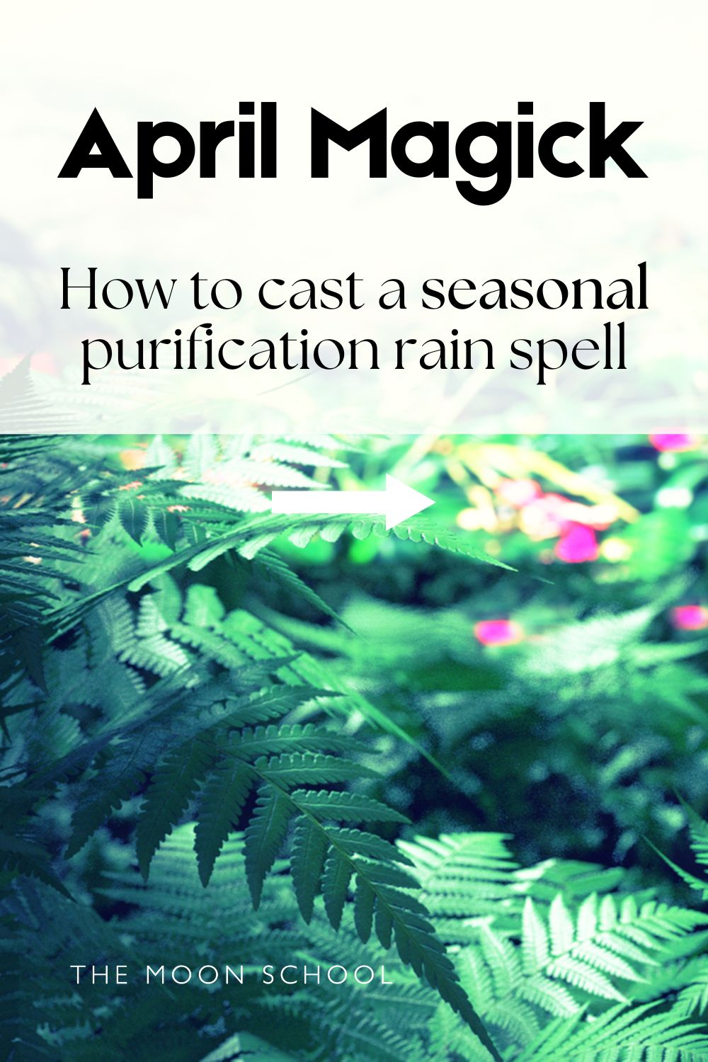 APril magick pin with a leafy spring aesthetic and text: How to cast a seasonal purification rain spell