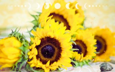 12 Stunning Summer Solstice Crafts to Celebrate the Longest Day!
