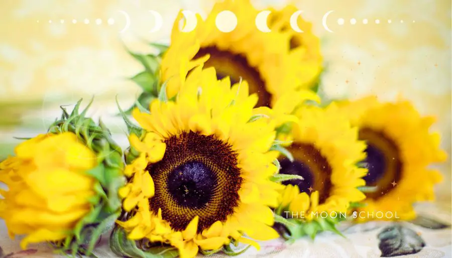 12 Stunning Summer Solstice Crafts to Celebrate the Longest Day!