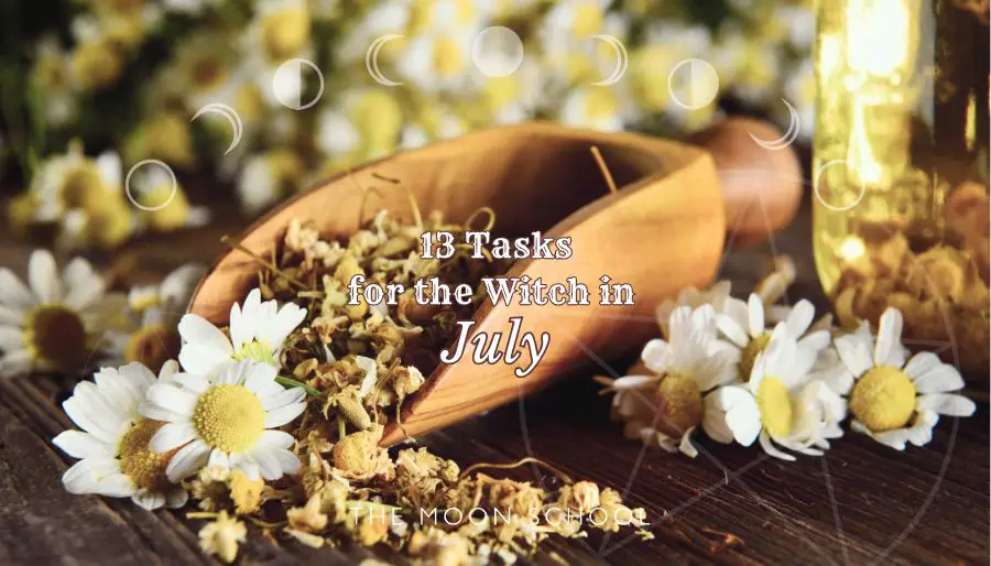 Dried chamomile flowers with wooden scoop for spells or witchcraft with title: 13 Tasks for the witch in July