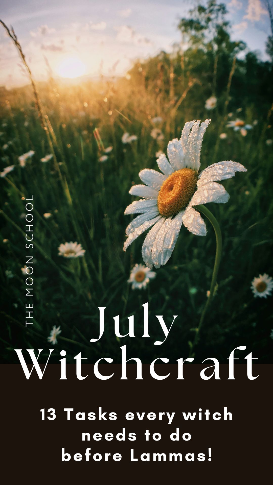 Editorial image of a summer oxeye daisy with title: July Witchcraft, 13 Tasks every witch needs to do before Lammas