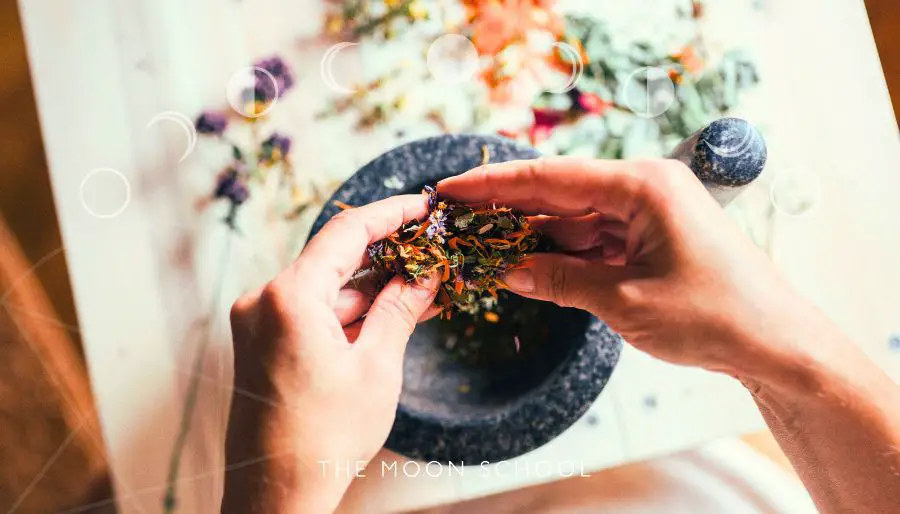 Image of a witchy woman adult mixing a herbal potion for summer craft ideas