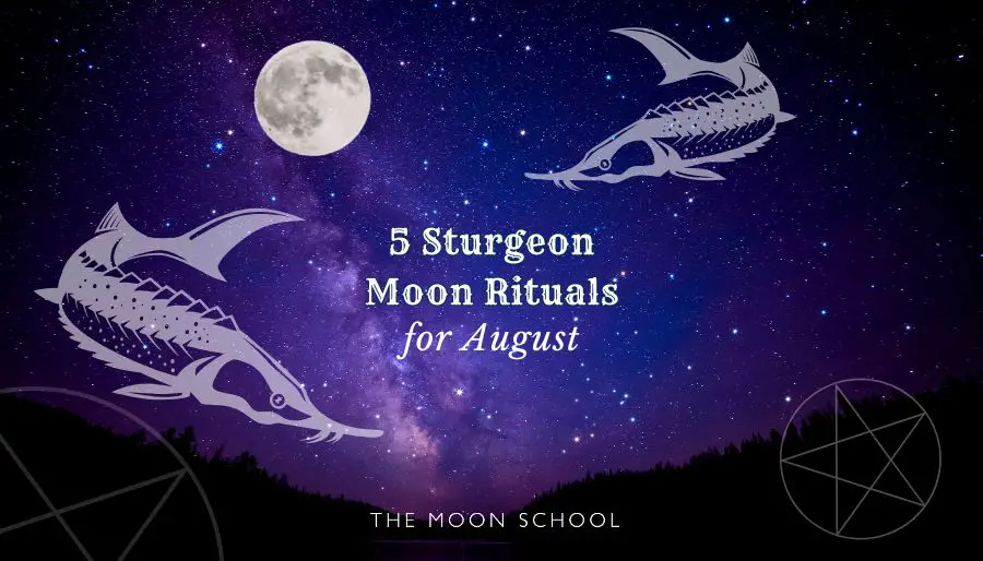 Vast cosmic sky with a full Moon rising in August and text: 5 Sturgeon Moon Rituals for August
