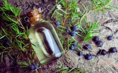20 Irresistibly Witchy Autumn Crafts to Make & Sell