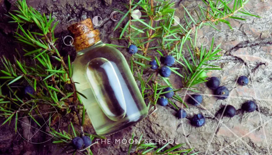20 Irresistibly Witchy Autumn Crafts to Make & Sell