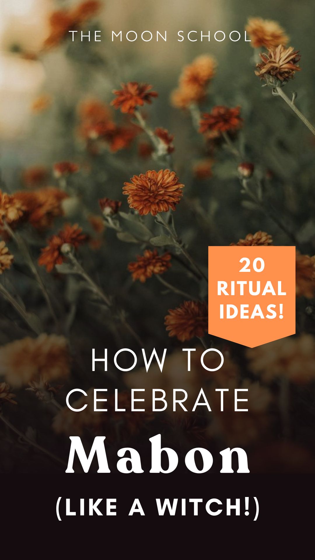 How to Celebrate Mabon ritual ideas Mabon aesthetic with fall flowers