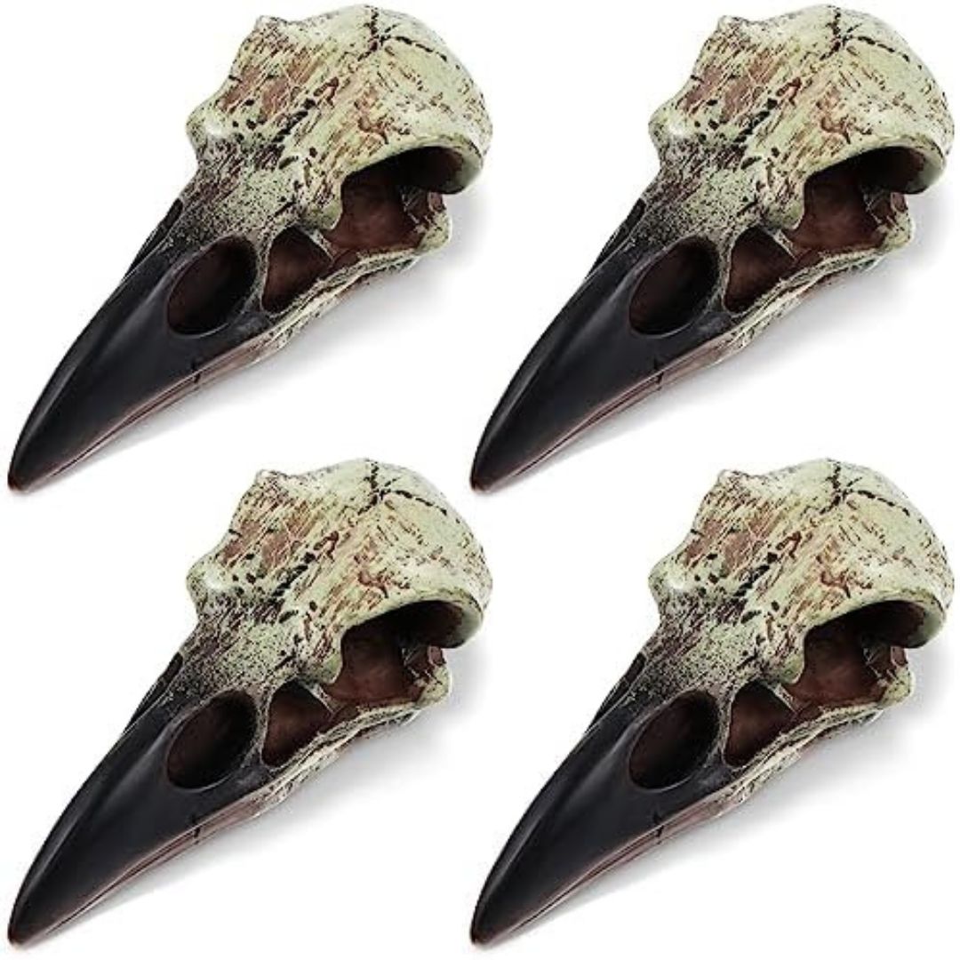 witchy apothecary party decor raven skull ornaments witchy apothecary party decor raven skull ornaments