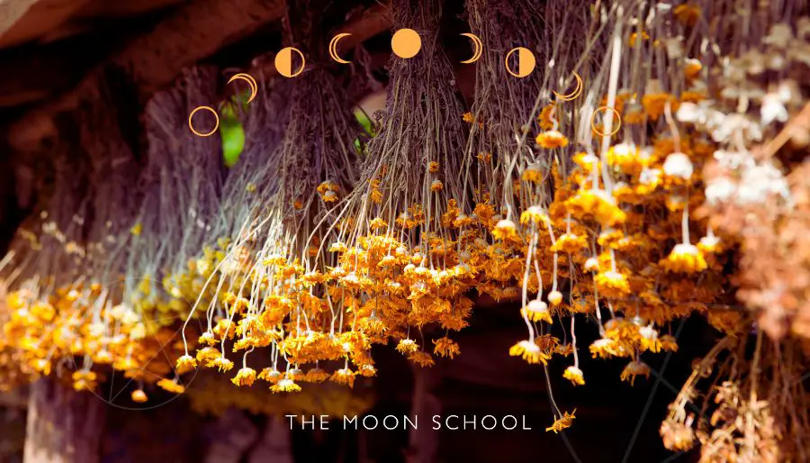 3 Easy Protection Spells to Guard Your Threshold through Samhain Season