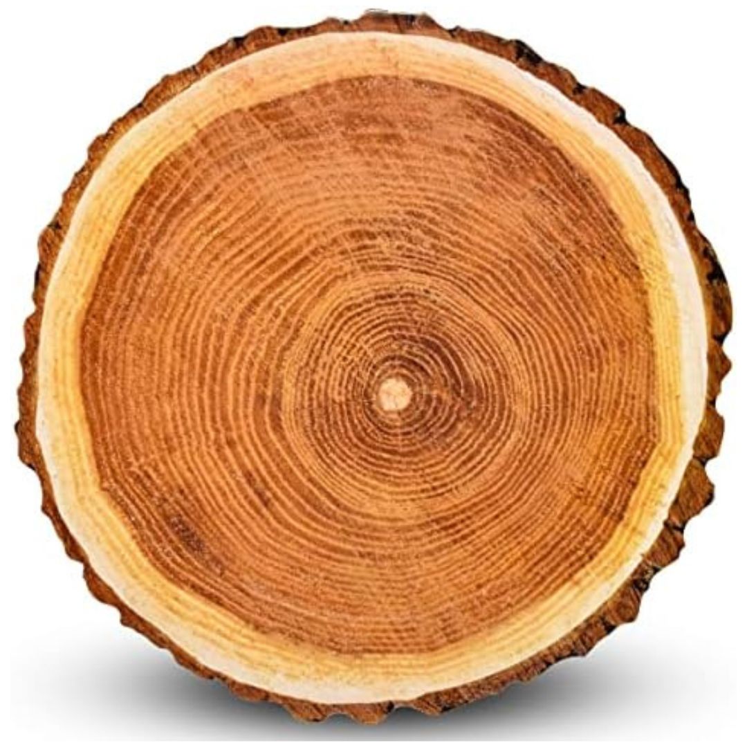 Woodland witch party plate charger woodland slice plate charger